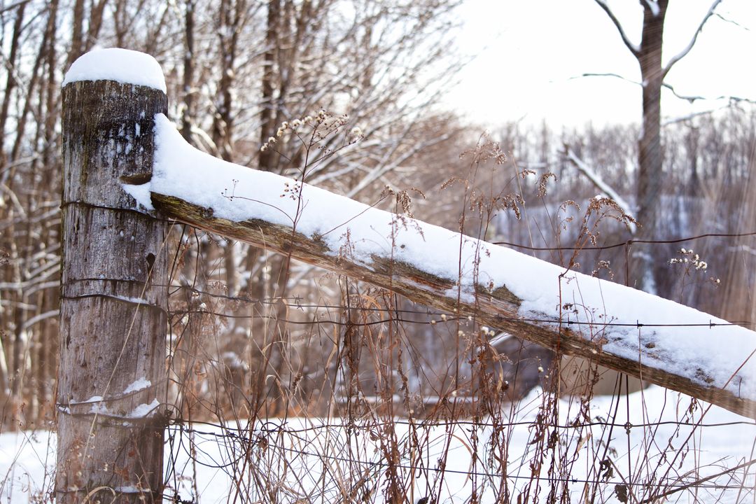 Snow-Covered Rustic Fence Post and Diagonal Rail with Winter Grasses