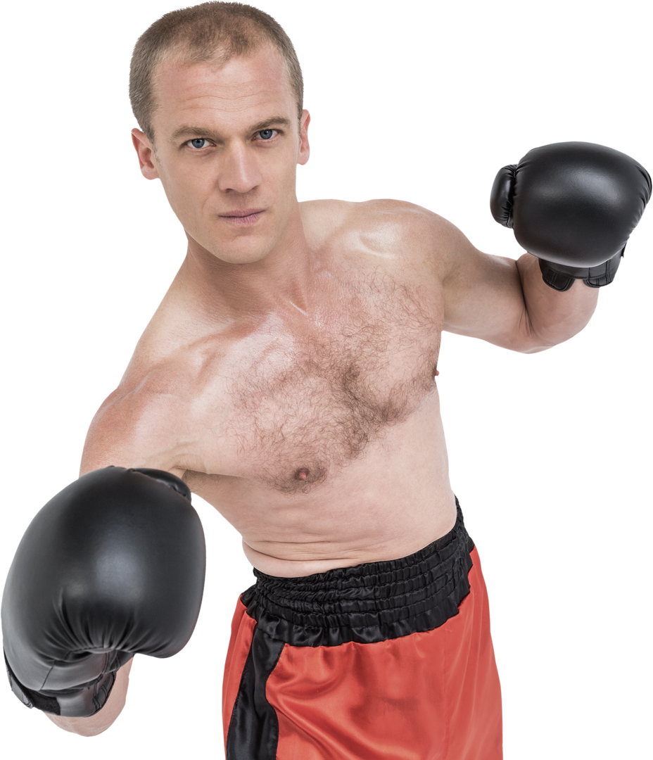 Transparent Background Boxer in Defensive Boxing Stance - Download Free Stock Images Pikwizard.com