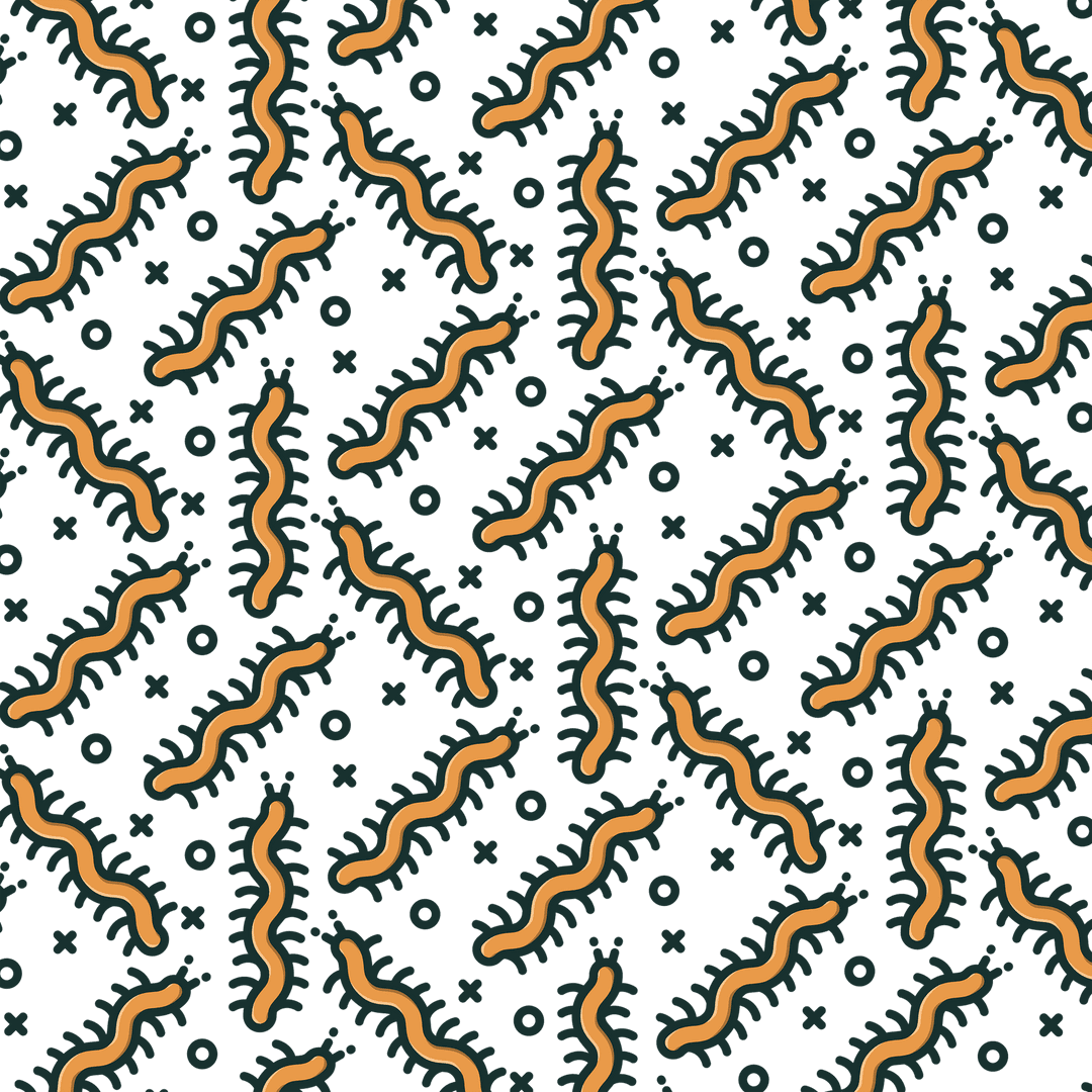 Seamless Centipede Pattern on Transparent Background
