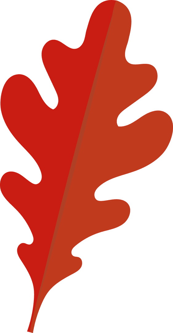 Minimalist Red Oak Leaf Illustration on Transparent Background