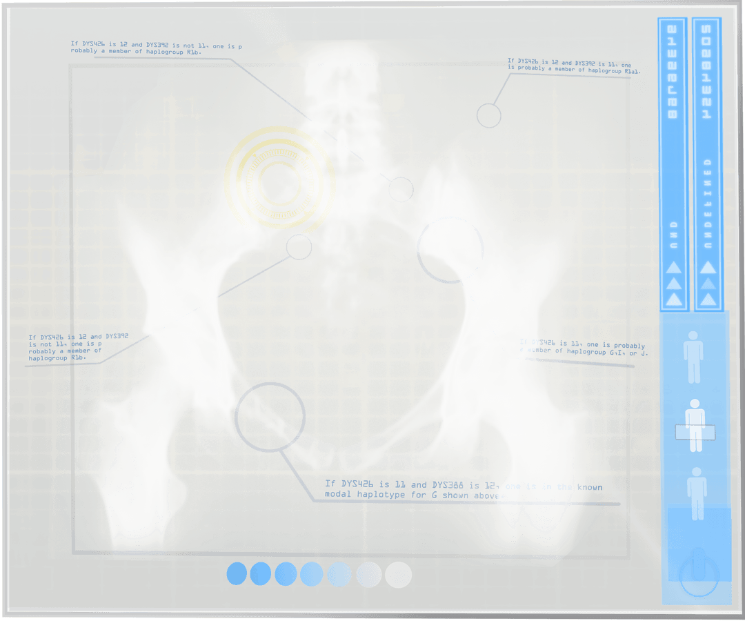 Transparent X-ray of Human Pelvis on Digital Interface