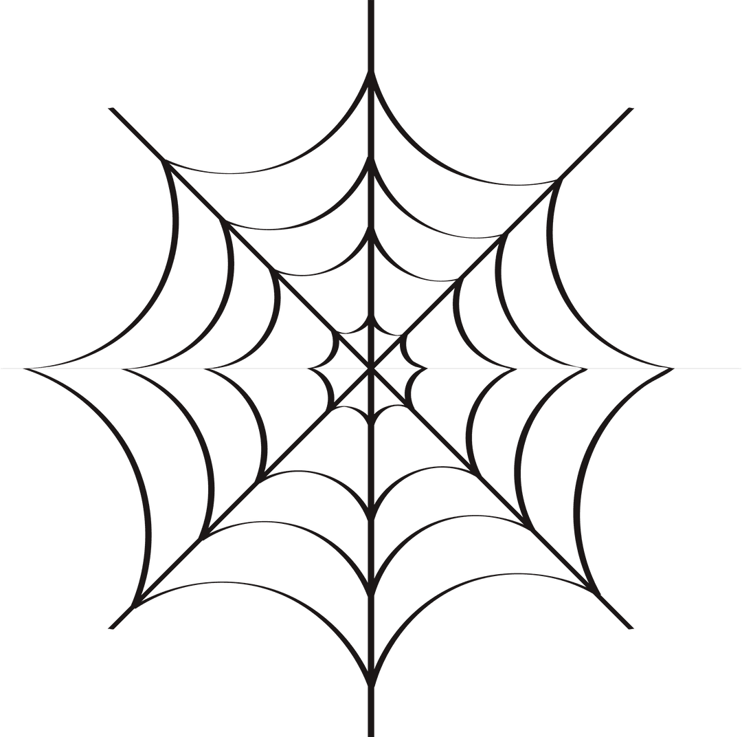 Transparent Spider Web Illustration with Intricate Design
