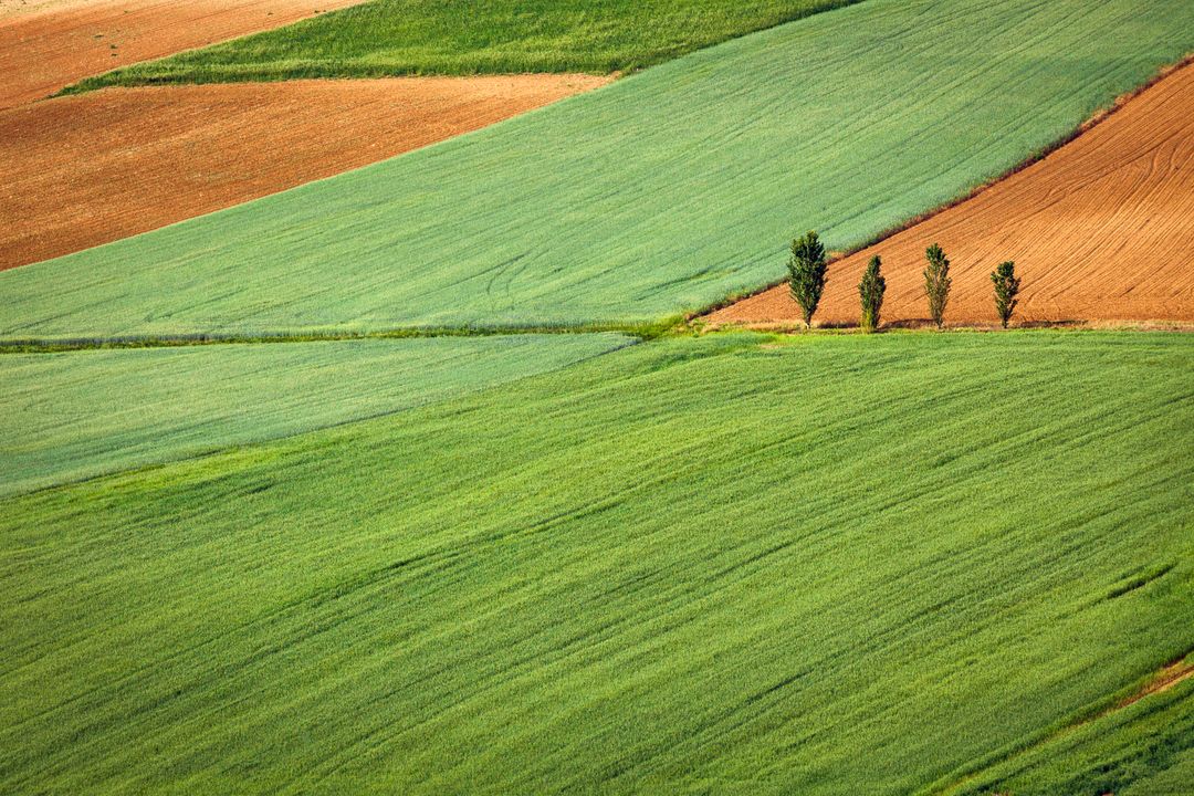 Beautiful plain abstract geometric landscape of farmland fields