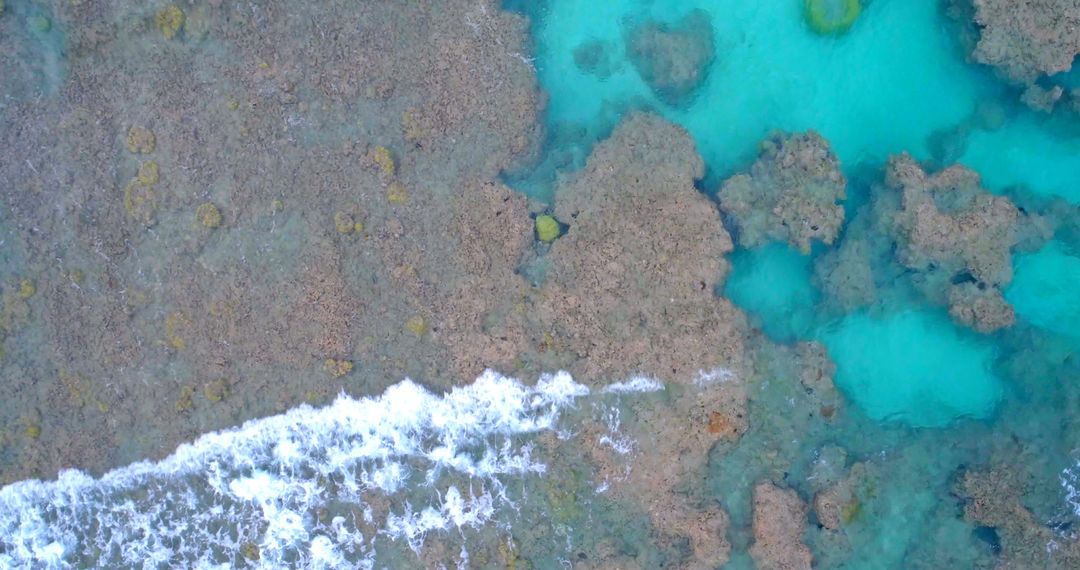 Aerial View of Wave Crashing on Coral Reef Edge - Free Images, Stock Photos and Pictures on Pikwizard.com