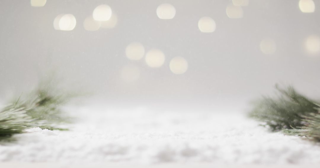 Winter Holiday Background with Snow and Pine Branches