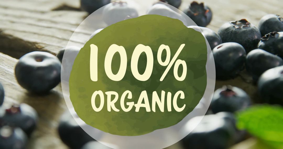 100% Organic Text with Fresh Blueberries Background