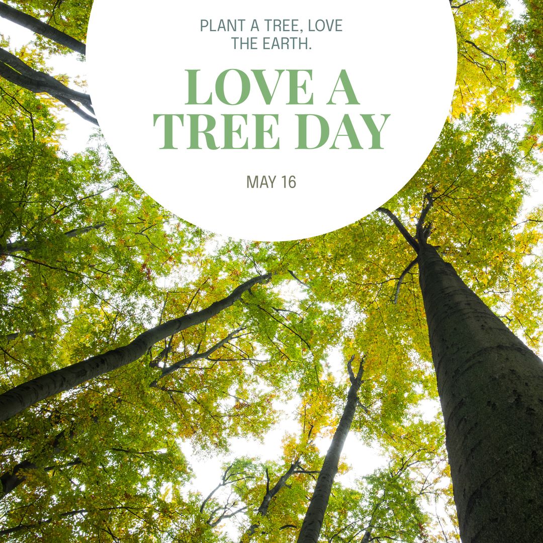 Love a Tree Day Celebration in Lush Green Forest Canopy