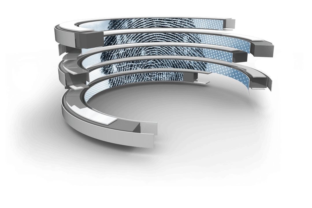 Transparent Circles Fingerprint Element Digital Security Concept