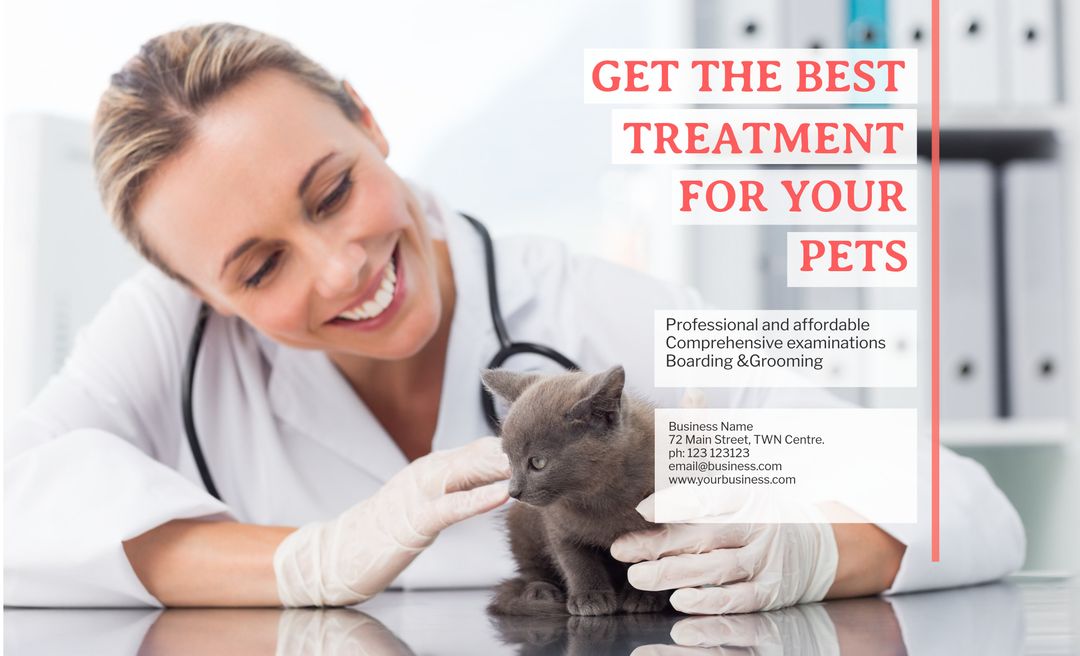 Veterinarian Caring for Kitten Fostering Trust and Compassion