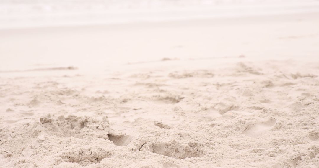 Tranquil Sandy Beach with Soft Footprints - Free Images, Stock Photos and Pictures on Pikwizard.com