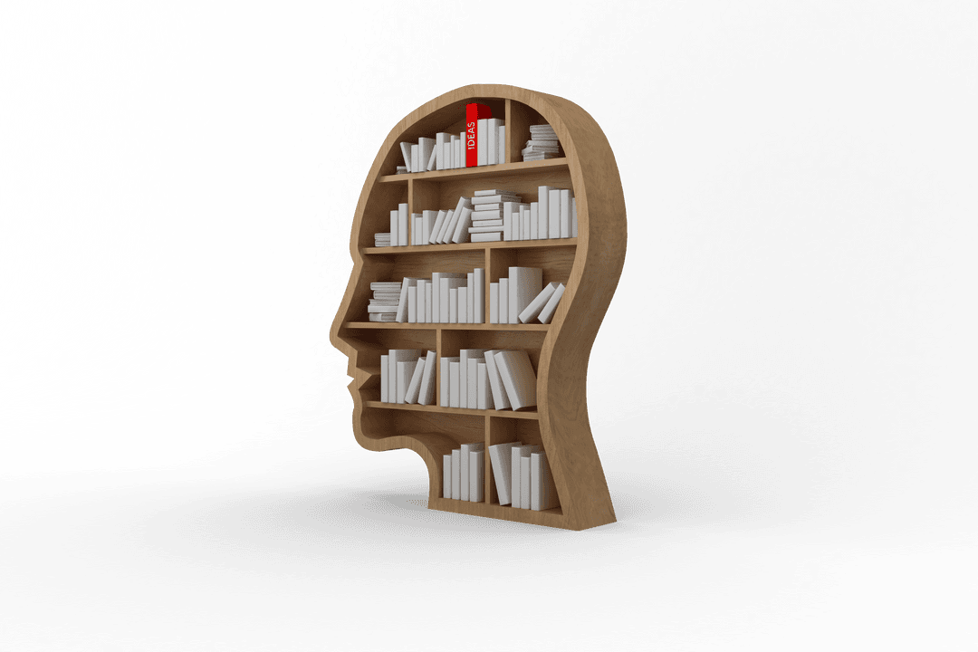 Transparent Human Head Shaped Bookshelf with Modern Design