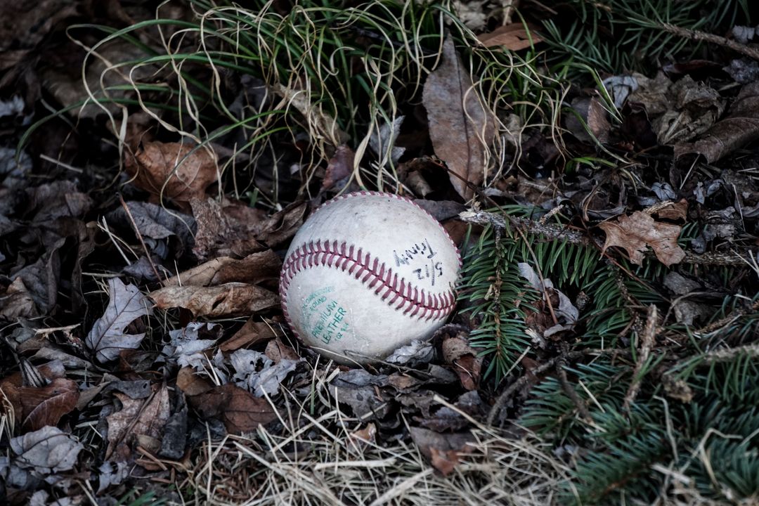 Abandoned Baseball Amongst Fallen Leaves and Grass - Free Images, Stock Photos and Pictures on Pikwizard.com