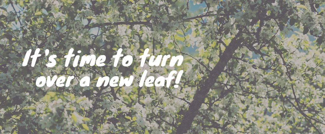 Spring Blooms and New Beginnings Inspire Renewal