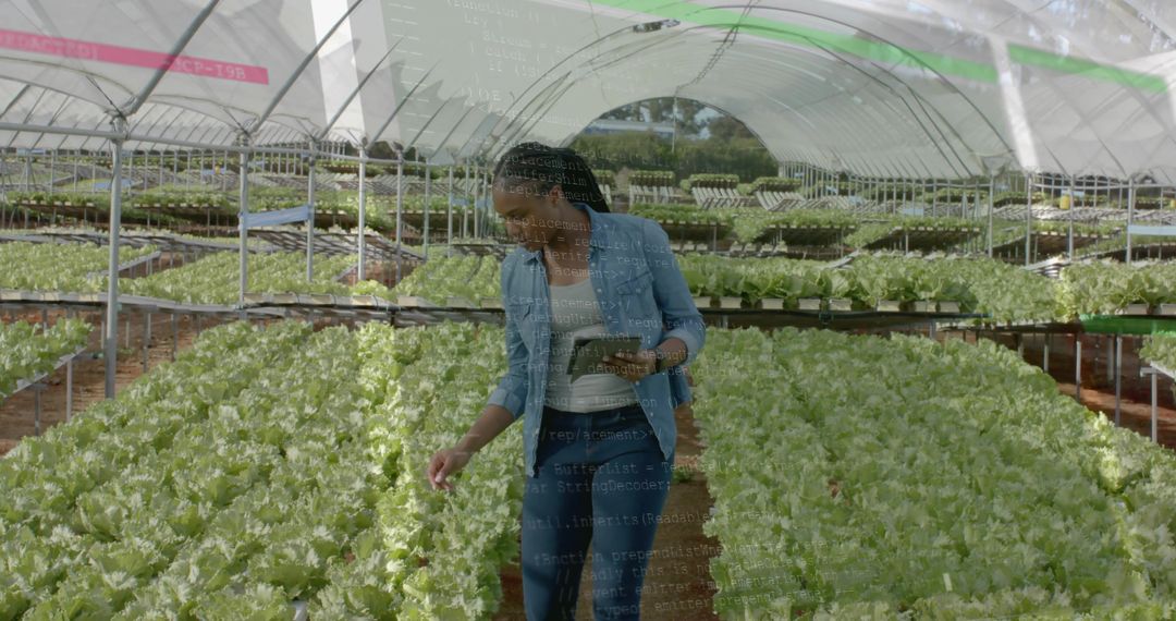 Female Technician Using Technology in Sustainable Greenhouse