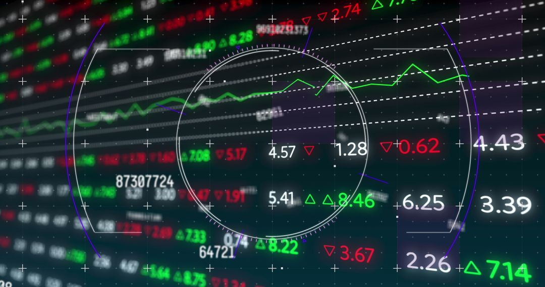 Financial data processing interface with radar style graphics