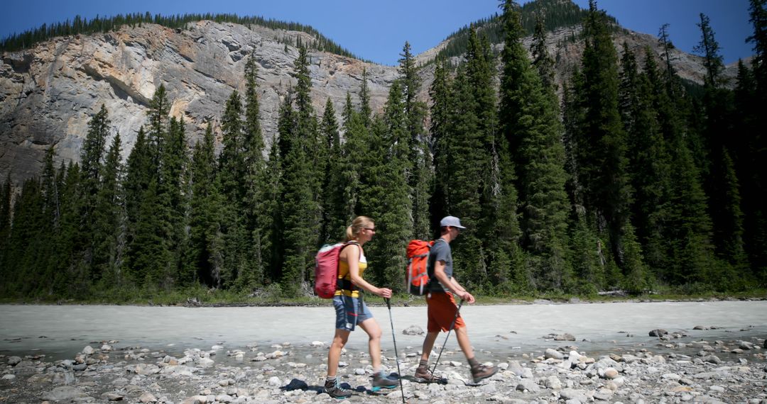 Couple Hiking in Mountainous Forest Landscape - Free Images, Stock Photos and Pictures on Pikwizard.com