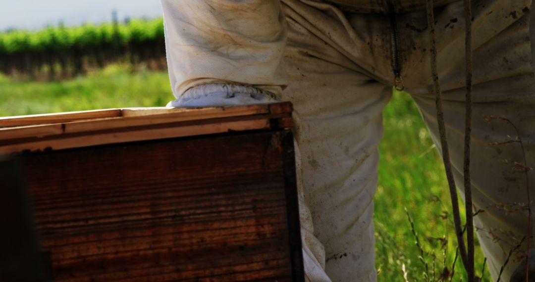 Beekeeper Inspecting Wooden Beehive in Field - Free Images, Stock Photos and Pictures on Pikwizard.com