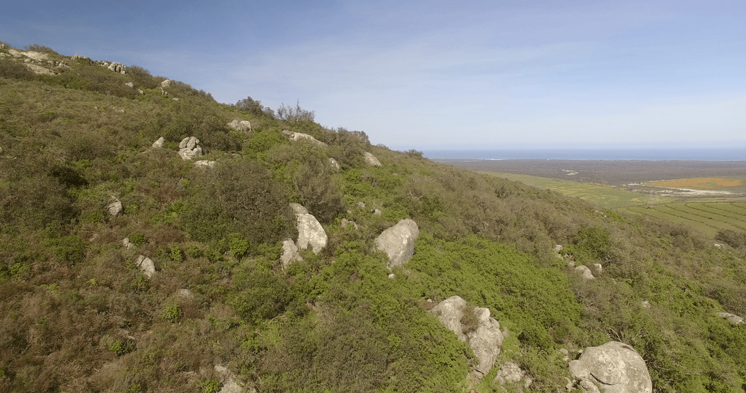 Transparent hillside and ocean horizon under clear sky