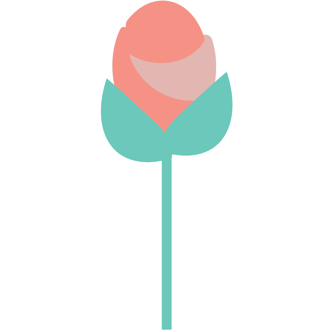 Transparent Vector Illustration of Pink Flower on Stem Minimal