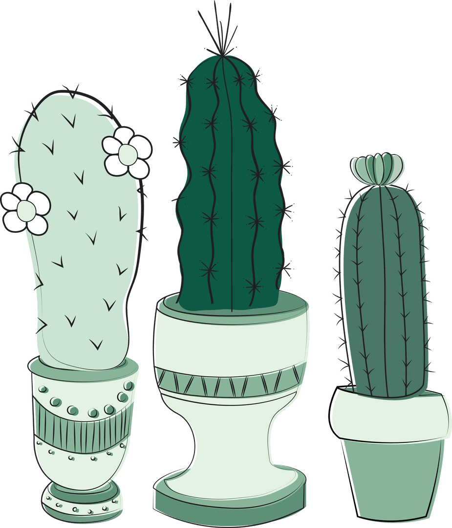 Three Cacti in Pots Illustrating Interior Decor on Transparent Background