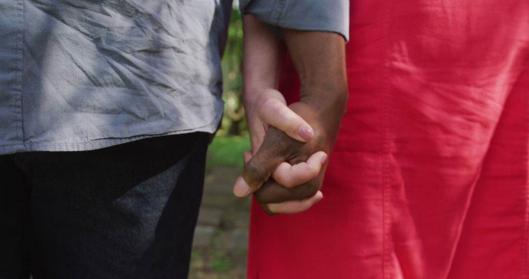 Senior Diverse Couples Holding Hands in Garden