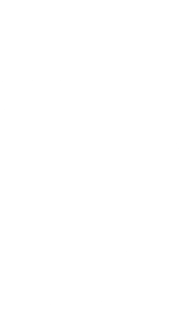 Silhouette of Male Badminton Player on Transparent Background with Racket - Download Free Stock Images Pikwizard.com