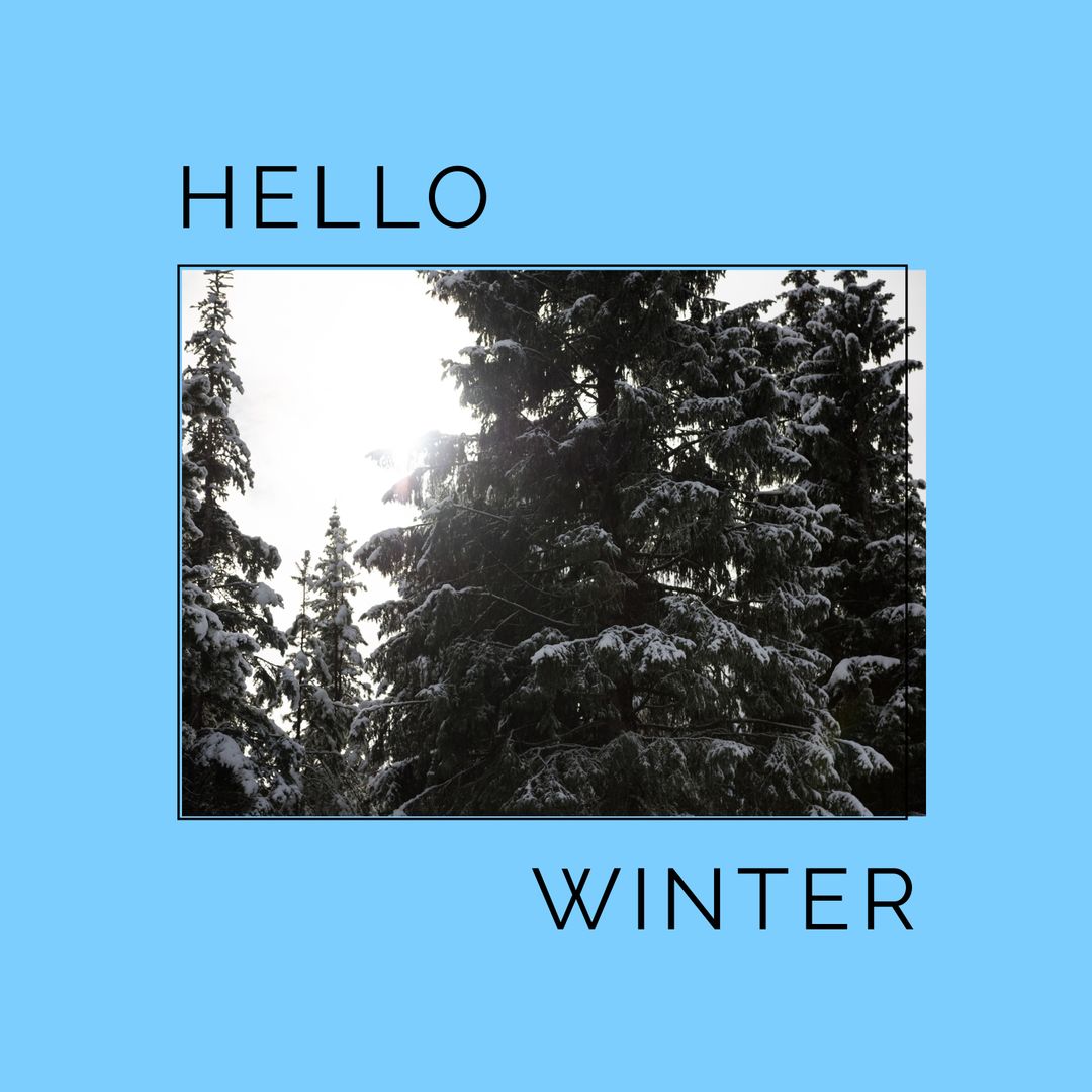 Winter Forest Scene with Snow-Covered Trees and Hello Winter Text - Download Free Stock Templates Pikwizard.com