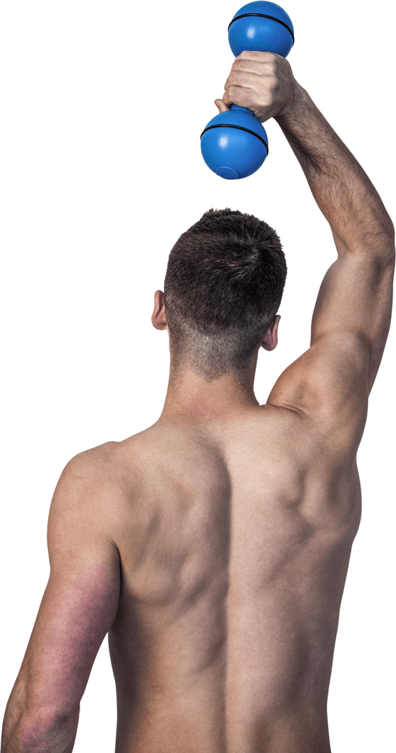 Transparent Muscular Man Raising Dumbbell for Fitness