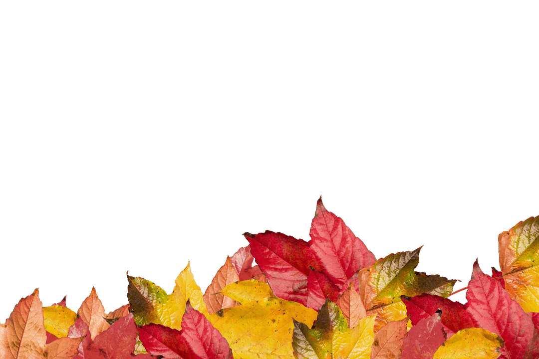 Transparent Autumn Leaves Pile with Copy Space