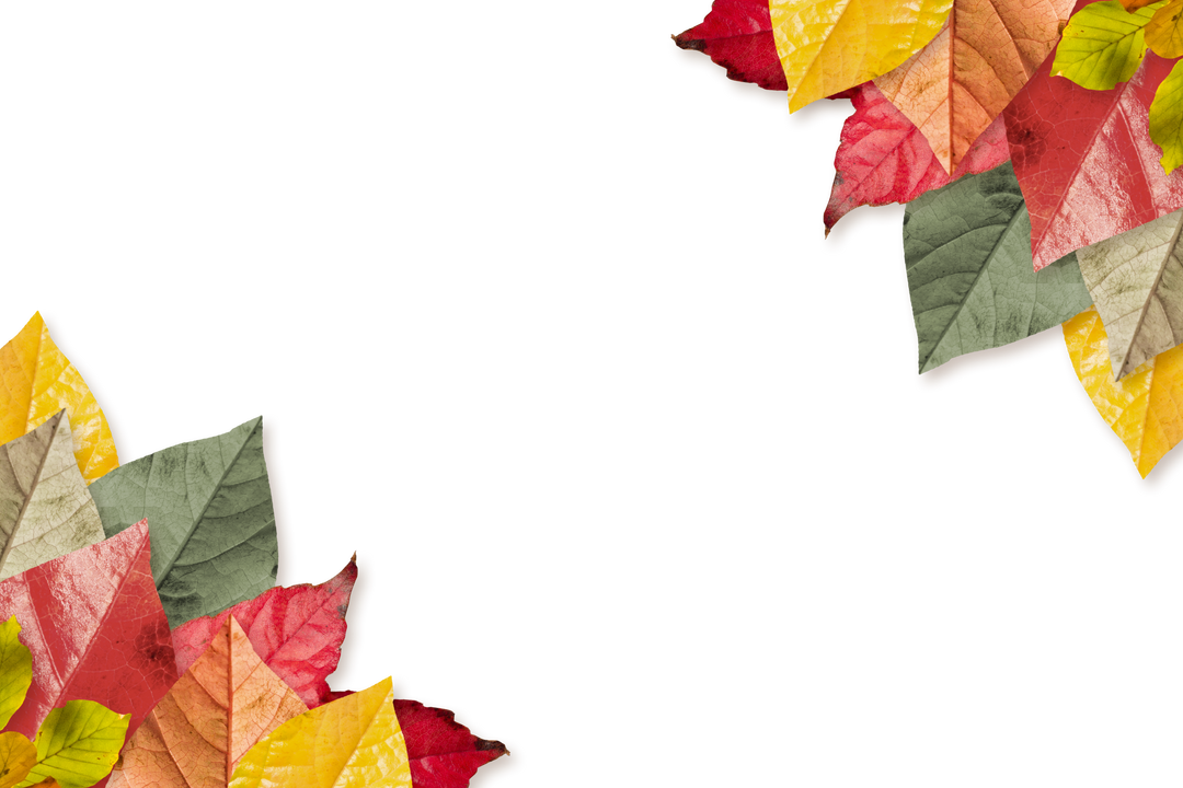 Transparent Autumn Leaves Isolated Column on Clear Background - Download Free Stock Images Pikwizard.com