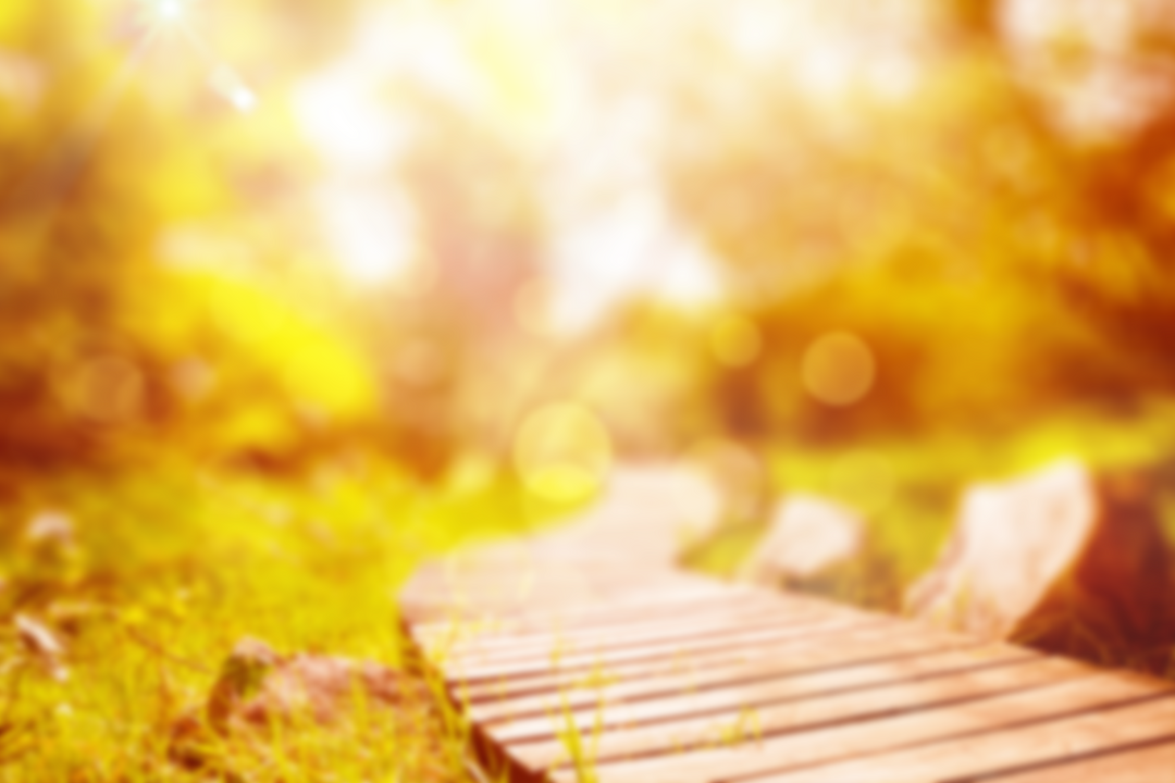 Transparent Summer Background with Blurred Wooden Path and Trees - Download Free Stock Images Pikwizard.com