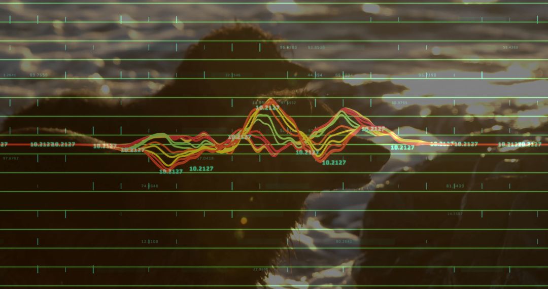 Digital Overlay on Silhouette Beaver in Sunset Waterscape