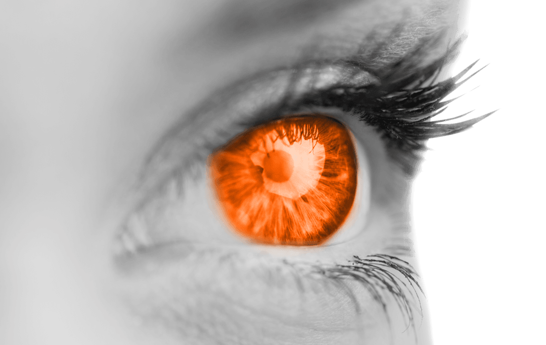 Human Eye Close-Up with Orange Retina on Transparent Background