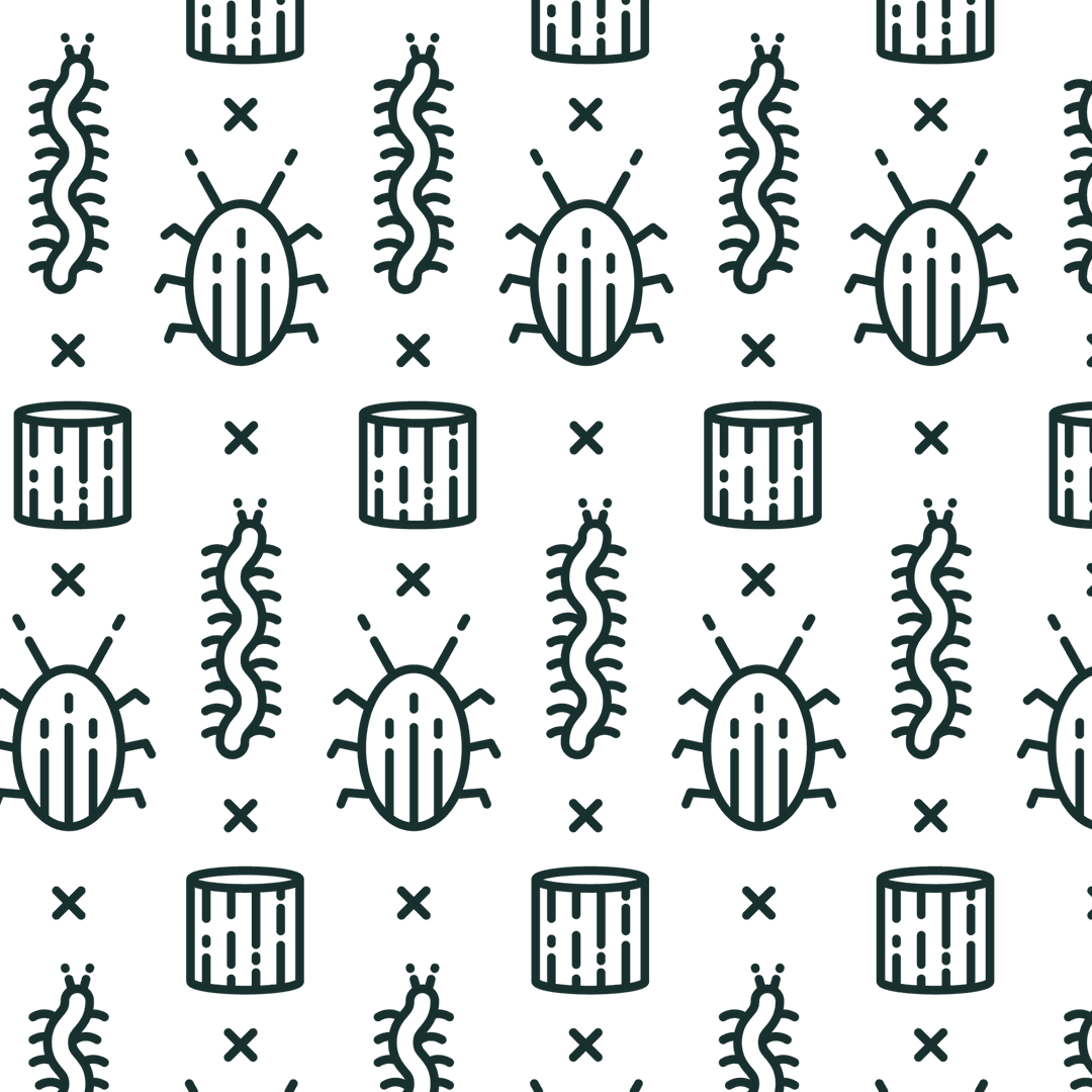 Seamless Vector Bug Pattern on Transparent Background - Download Free Stock Images Pikwizard.com