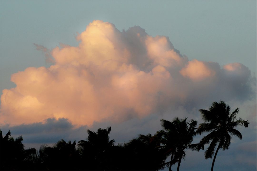 Tropical Sunset with Clouds and Palm Trees - Free Images, Stock Photos and Pictures on Pikwizard.com