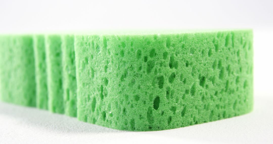 Green Cleaning Sponge Close-Up with White Background - Free Images, Stock Photos and Pictures on Pikwizard.com