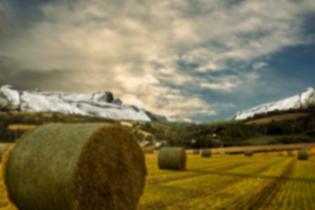 Hay Bales on Idyllic Field with Sunny Sky - Download Free Stock Images Pikwizard.com