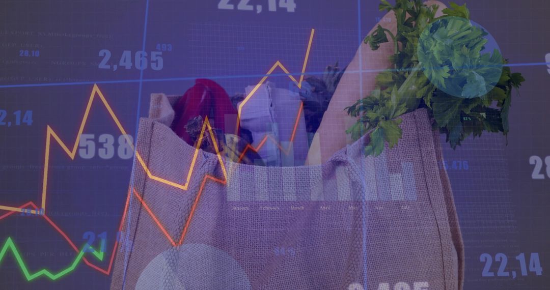 Eco-Friendly Grocery Bag Overlay Market Data Graph
