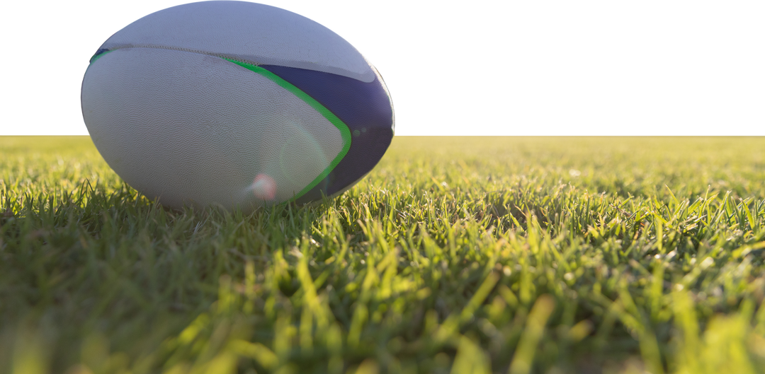 Rugby Ball on Grass with Transparent Background for Sports Design - Download Free Stock Images Pikwizard.com