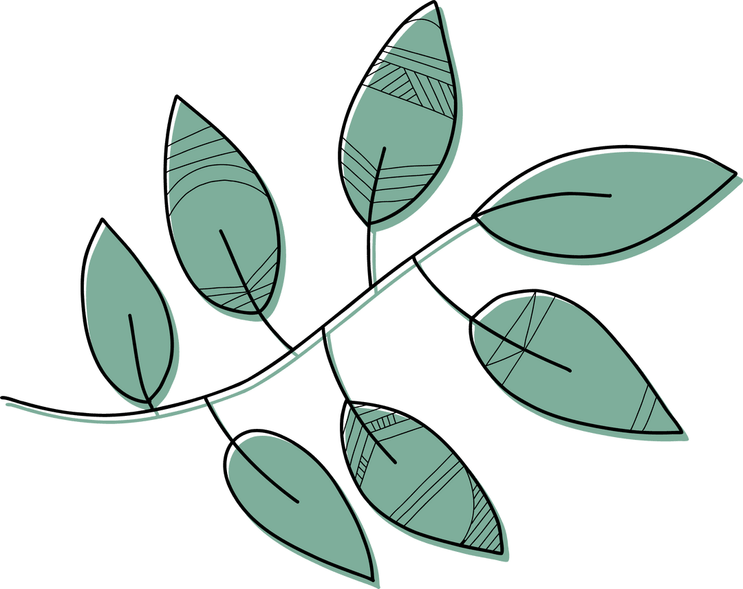 Curved Branch with Green Hatch Lined Leaves on Transparent Background