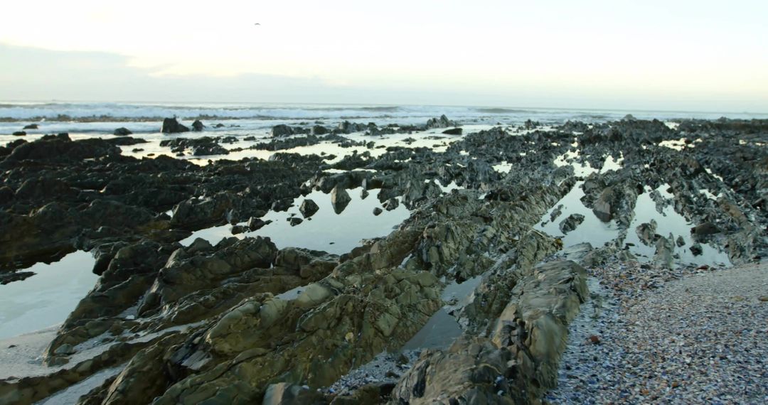 Jagged Rock Formations and Reflective Tide Pools at Low Tide
