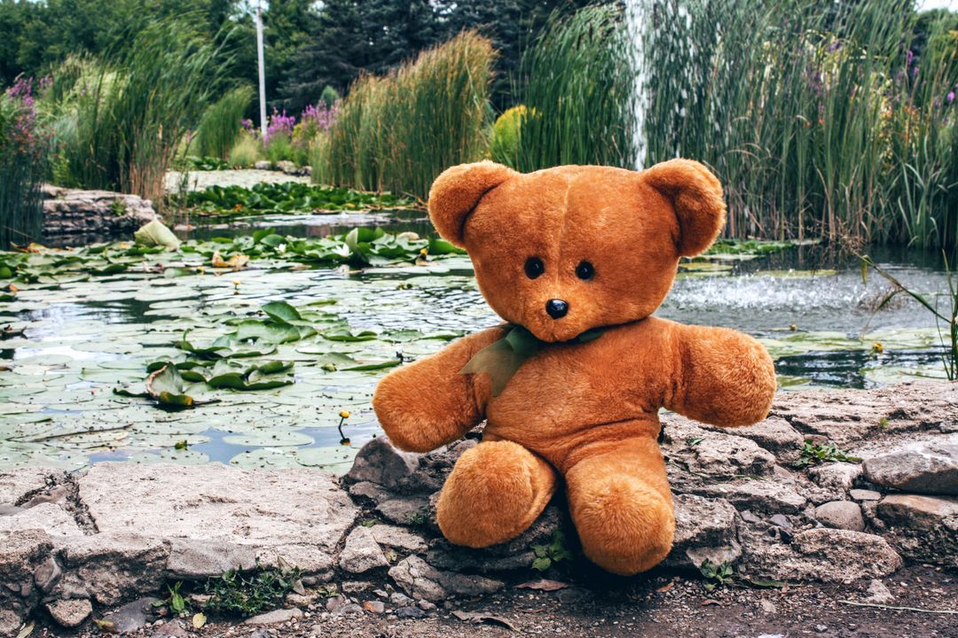 Teddy Bear Sitting by Pond in Beautiful Park - Free Images, Stock Photos and Pictures on Pikwizard.com