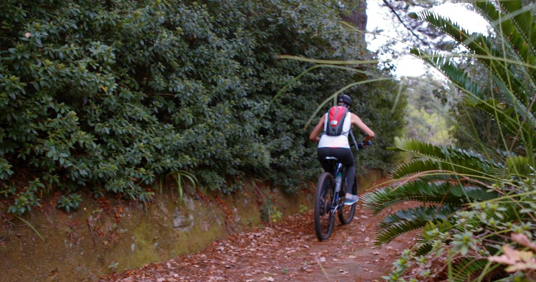 Woman Mountain Biking on Forest Trail with Greenery