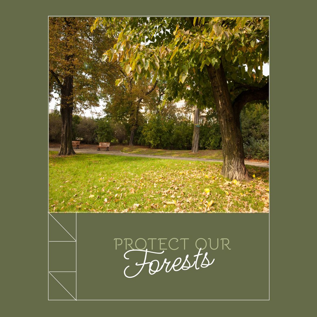Forest Conservation Awareness Poster with Scenic View