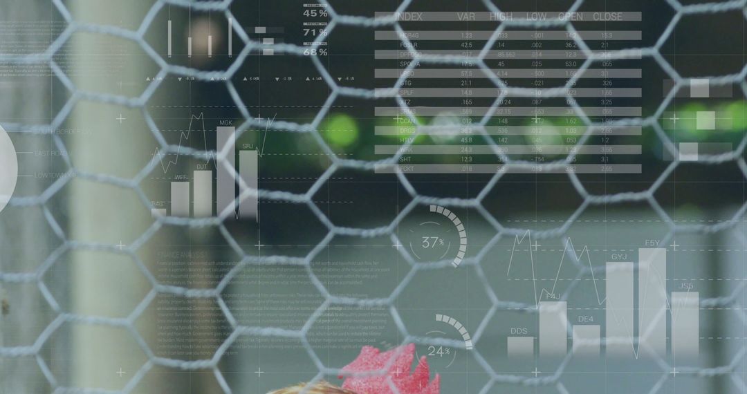 Digitization of Poultry Farming with Data Analytics