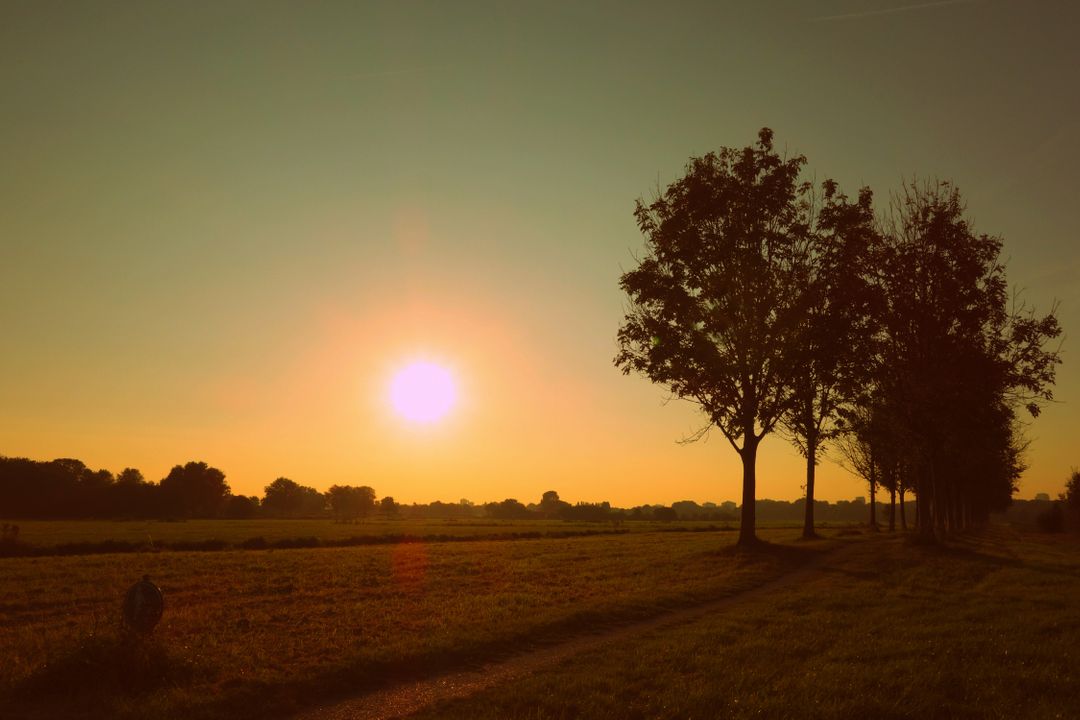 Beautiful Sunset Over Rural Landscape with Tree Lined Path - Free Images, Stock Photos and Pictures on Pikwizard.com