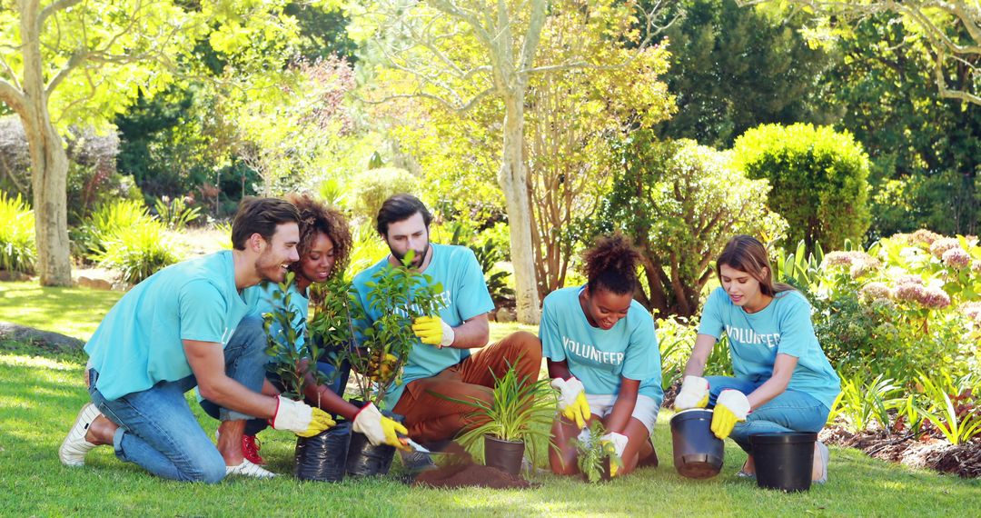 Volunteers Planting Trees in Park for Community Service - Free Images, Stock Photos and Pictures on Pikwizard.com