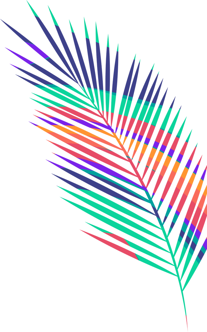 Colorful Palm Frond Art on Transparent Background