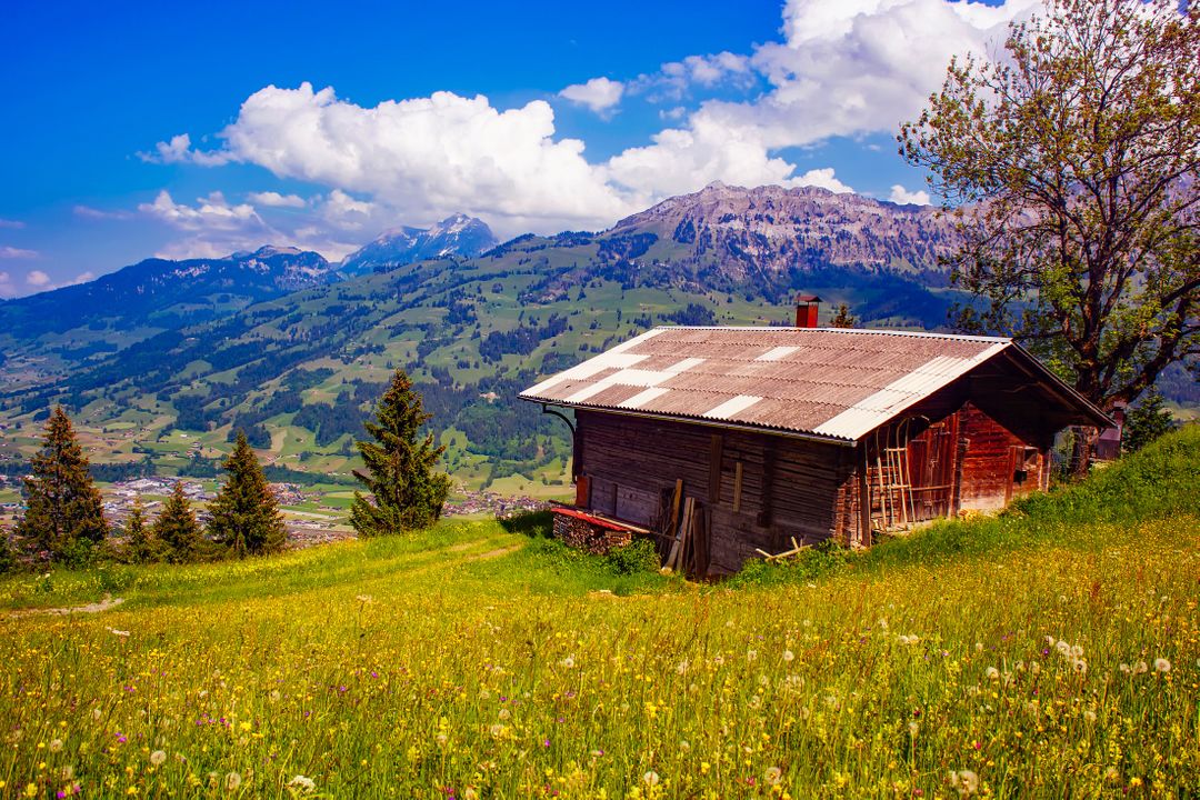 Scenic Mountain Cabin in Summer Alpine Meadow - Free Images, Stock Photos and Pictures on Pikwizard.com