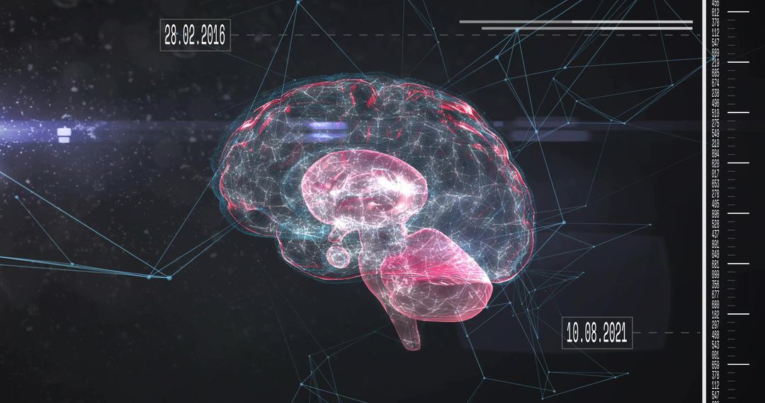 Pulsing 3D Wireframe Brain Hologram with Neural Network Lines, HUD Dates and Scale